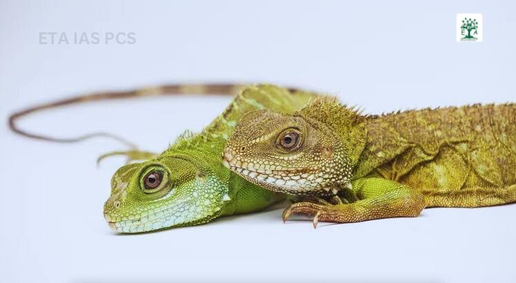 PARTHENOGENESIS
